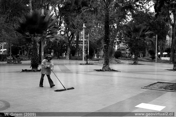 Limpieza en la plaza de Copiapó