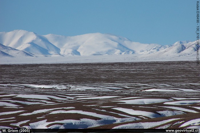Llano of  Varas in Carrera Pinto with snow, Atacama Desert, in the middle of winter (Atacama Region, Chile).