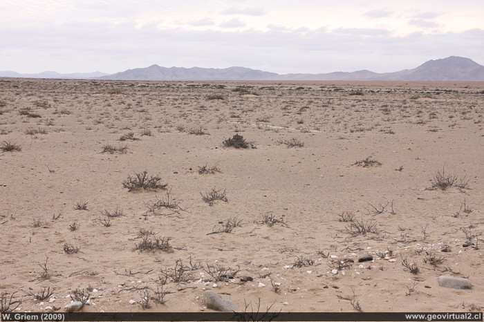 Rastros de la pista de aterrizaje de Algarrobal, desierto de Atacama - Chile