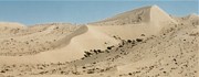 Atacama desert picto