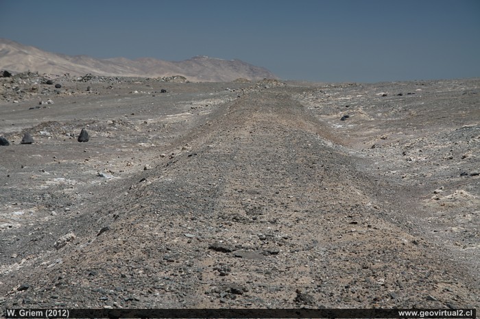 Terraplen del Ferrocarril hacia Flor de Chile, Desierto de Atacama