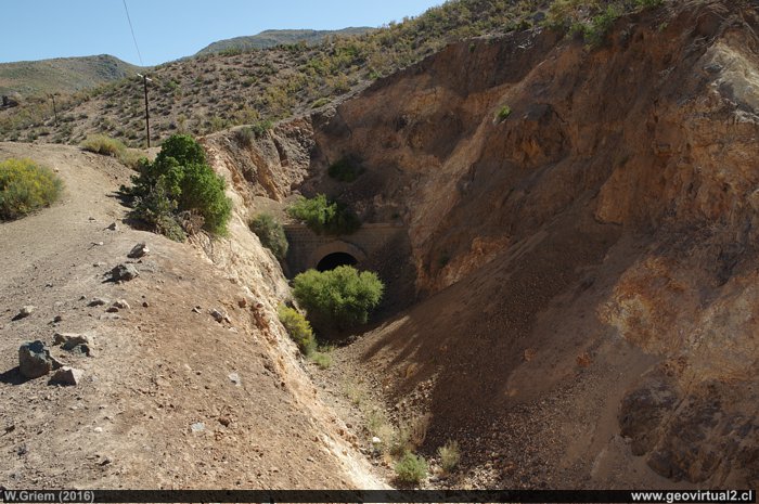 Tunel leon cerca de Espino - Chile
