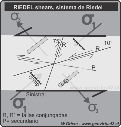 Apuntes Geolog a Estructural Riedel Shears Apuntes Geolog a Estructural Riedel Shears