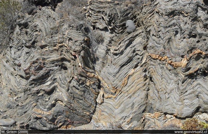 Pliegue en rocas metasedimentarias - Región de Atacama (Chile)