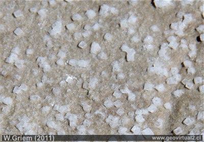 Cristalización de sal en el salar de Pedernales