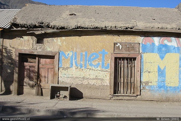 Los Loros in der chilenischen Atacama Region