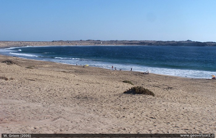 Foto: Zona litoral de arena - sector Cisne, costa de Atacama.  (W.Griem, 2006)