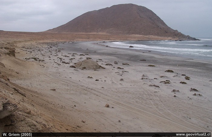 Playa Blanca; Pan de Azúcar / Atacama Region, Nationalpark Pan de Azucar - Chile