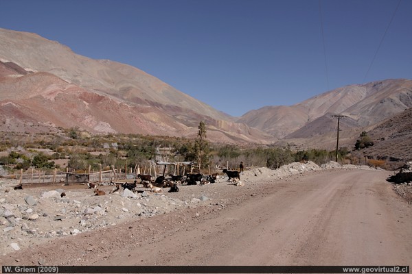 Das Tal bei Pinte in der Atacama Region, Chile