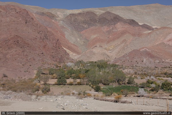 Tal bei Pinte in der Atacama Region, Chile