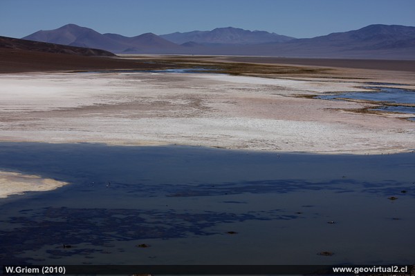 Die Santa Rosa Lagune und der Maricunga Salzsee in den Anden der Atacama Region, Chile