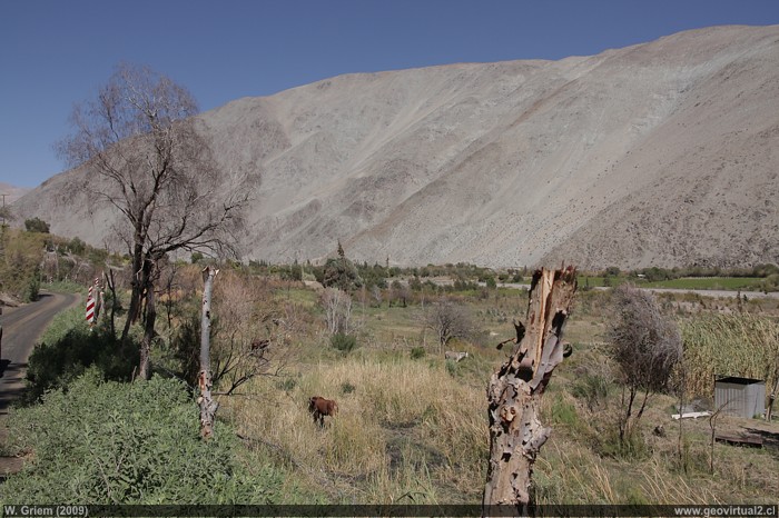 Das Transito, oder Oberes Huasco Tal, in der Atacama Region, Chile