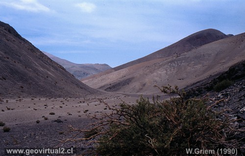 Vega del Valiente - Atacama Chile