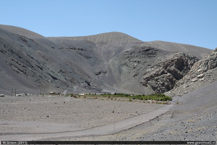 Viña del Desierto cerca de la Quebrada Pingo en el Desierto de Atacama, Chile