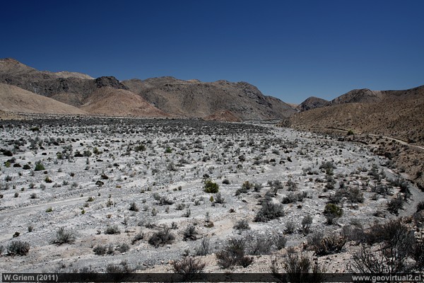 Das Algarrobal Tal in der Region Atacama, Chile
