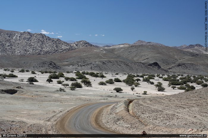 Quebrada Algarrobal en la Región Atacama - camino a Merceditas