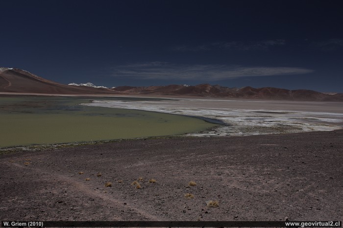 The Andes Mountains and the Laguna Negro Francisco Lagoon in the Atacama Region, Chile.