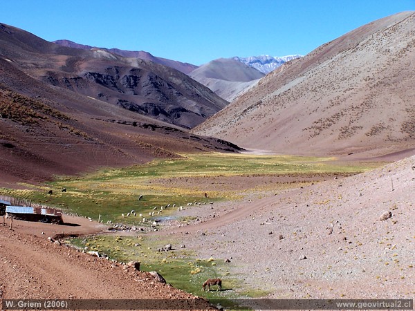 Die Anden in der Atacama Region: Hier bei Cachitos in etwa 3500 Metern Höhe