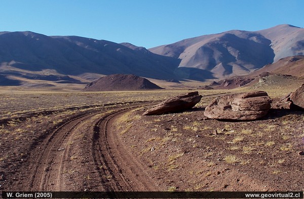 Atacama: Llano Leoncito en el sector Paton