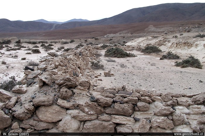 Desierto de Atacama: Agua del Burro