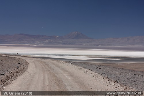 Der Pedernales Salzsee in der Atacama Wüste, mit den Anden im Hintergrund