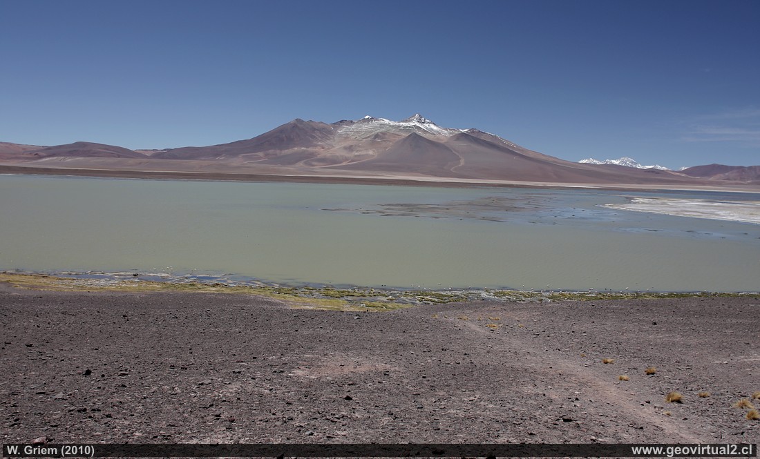 Die Lagune Negro Francisco in der Atacama Region Chile