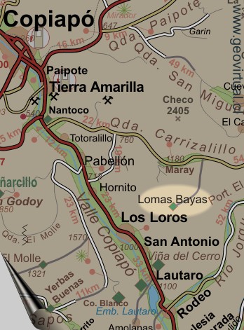 Mapa de ubicación Lomas Bayas en Atacama