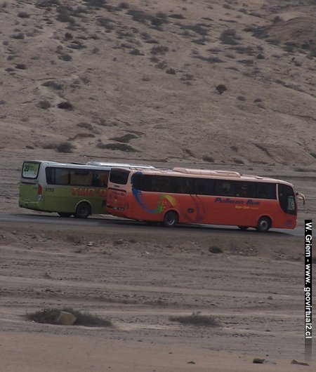 Buses traveling at Atacama, Chile