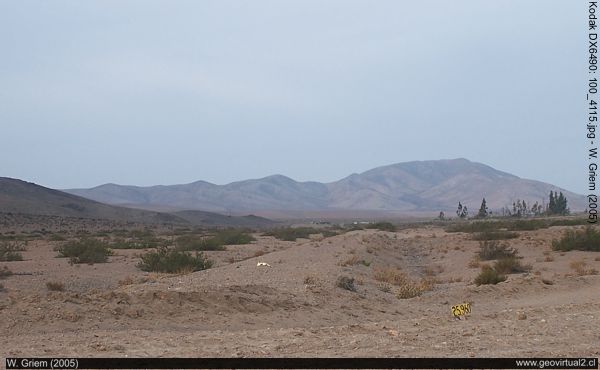Terraplén en el sector Llano Punta de Diaz, Algarrobal (Atacama, Chile)