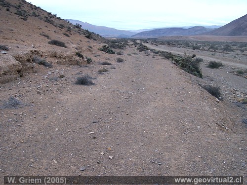 Ehemalige Eisenbahnlinie zu den Silberminen nach Chañarcillo (Atacama, Chile)