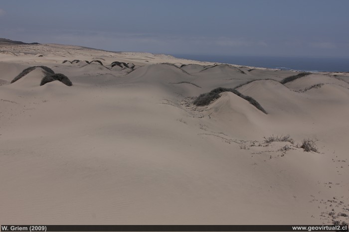 Dünen Feld in der Atacama-Wüste hier bei Totoral in der Nähe des Pazifischen Ozeans, Chile