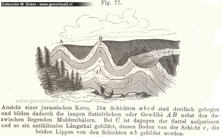 Pliegues de Vogt 1866