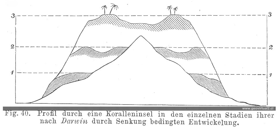 Credner (1891): Bildung eines Atolls