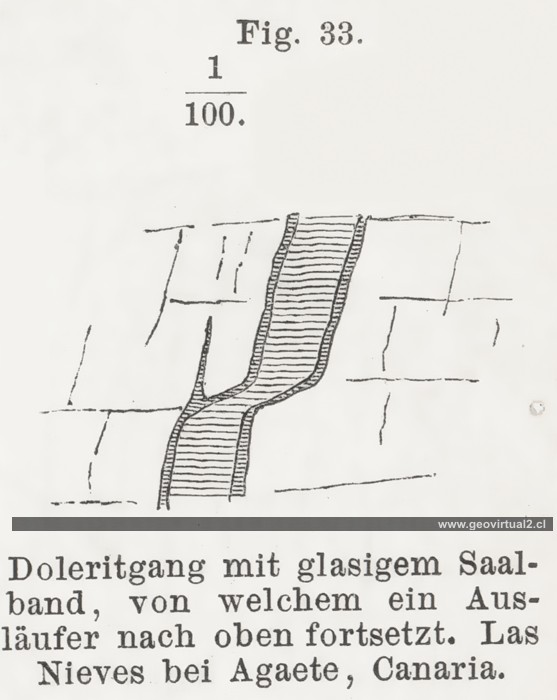 Dique con Salbanda, Fritsch 1888