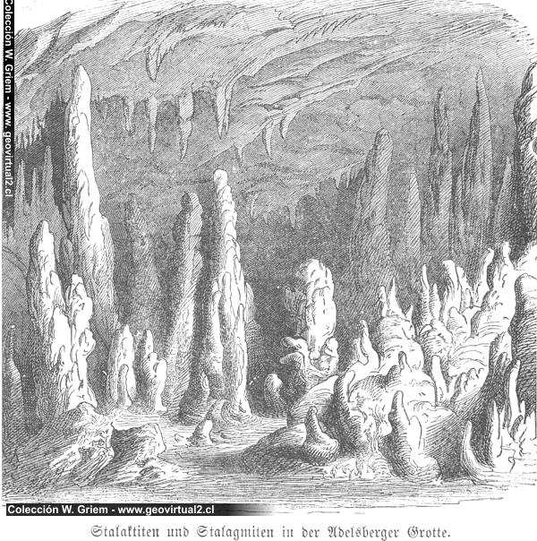 Lippert, 1878: Adelsberger Grotte - Postojna