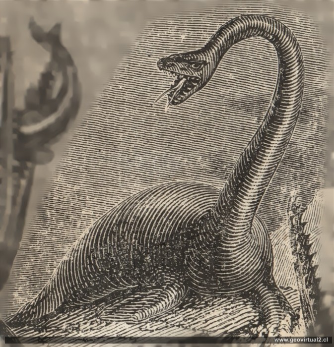 Plesiosauros