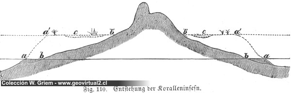 Ludwig, 1861: Entstehung einer Koralleninsel - Atoll