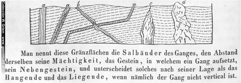 Salbanda y hipabisales de Naumann, 1850
