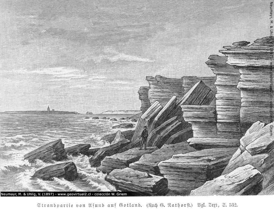 Erosión litoral - las fuerzas del agua y de las olas - Neumayr & Uhlig, 1897