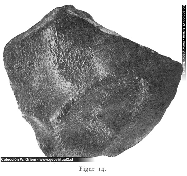 Walther, 1908: Meteorit von Stannern