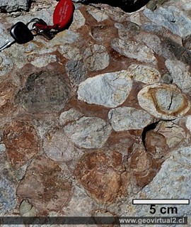Conglomerado, un ejemplo de una roca sedimentaria