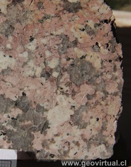 Granito pérmico de Atacama