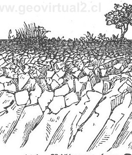Formación de suelos  - Polack, 1892