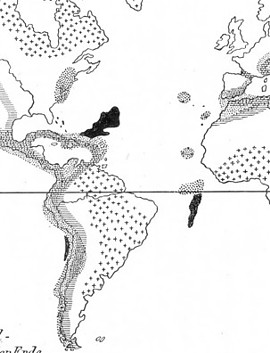Distribución de los terremotos según Montessos de Ballore en Kayser 1912
