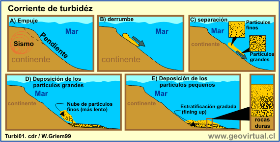 Apuntes Geología General: Corriente turbidez y atolón
