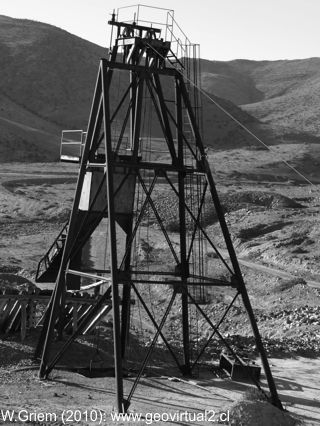 Peinecillo en las minas de Carrizal Alto, Atacama, Chile