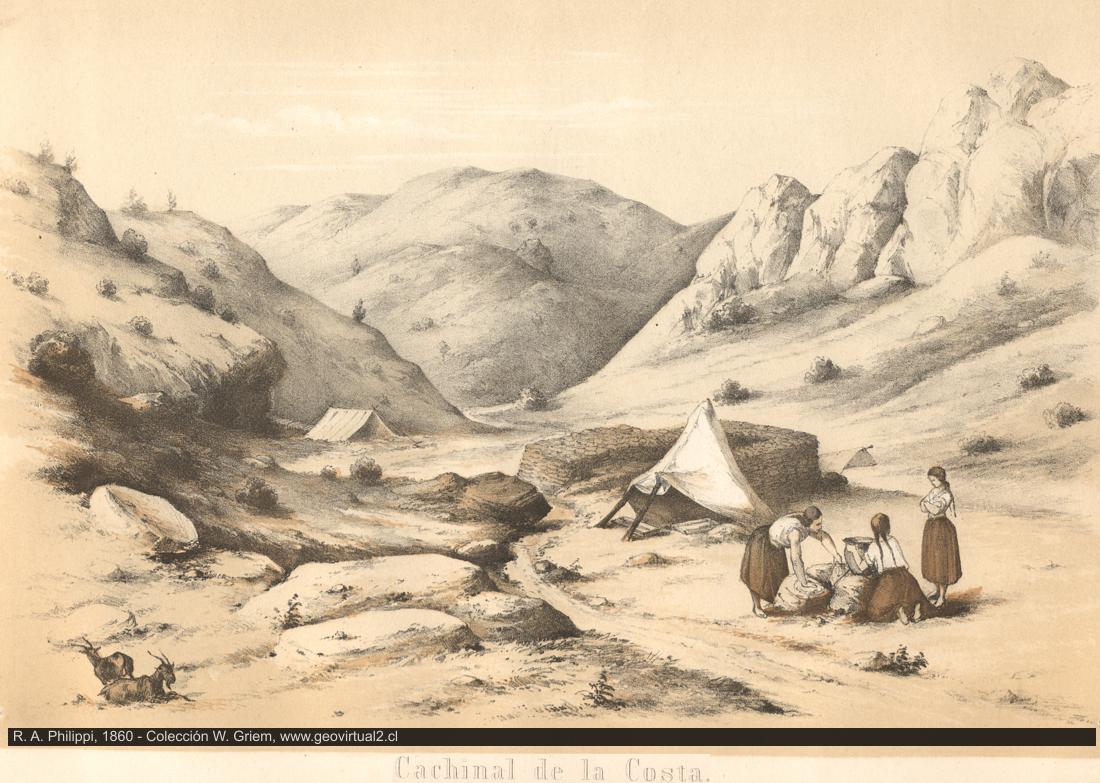 Cachinal de la Costa en el desierto de Atacama, de Philippi 1860