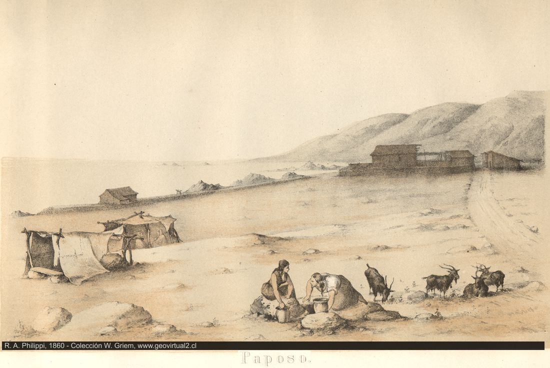 Paposo: Una ilustración de Philippi 1860