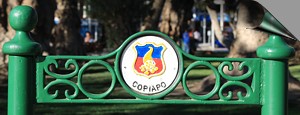 Pic escudo de Copiapo