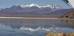 Laguna Santa Rosa en la Region de Atacama - Chile